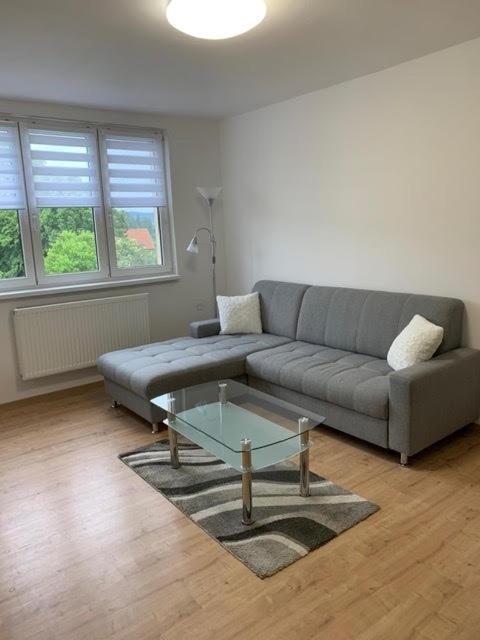 Apartman Frymburk 30 エクステリア 写真