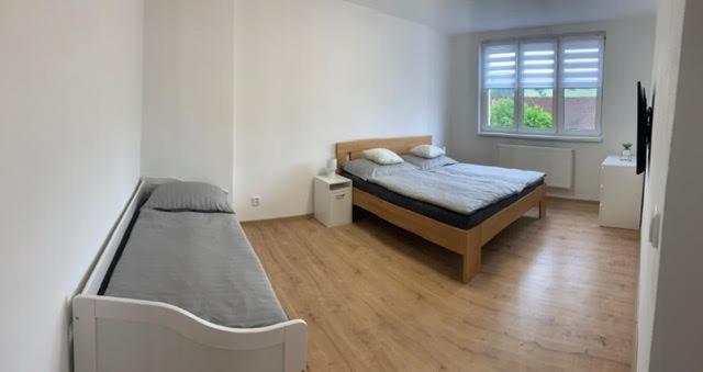 Apartman Frymburk 30 エクステリア 写真
